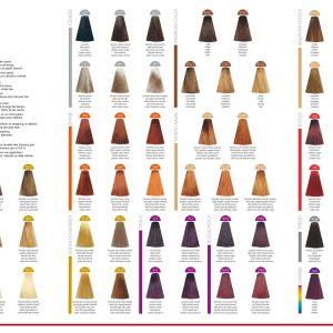 Kleurkaart Color&Color